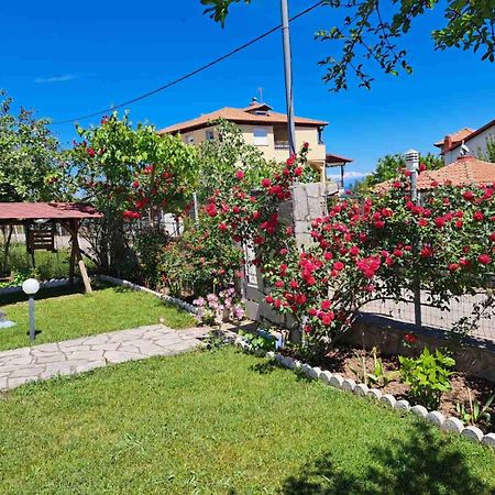 Villa Jenny Λεπτοκαρυά Εξωτερικό φωτογραφία