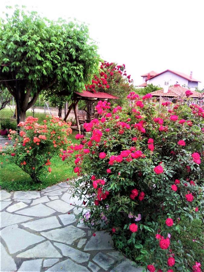 Villa Jenny Λεπτοκαρυά Εξωτερικό φωτογραφία