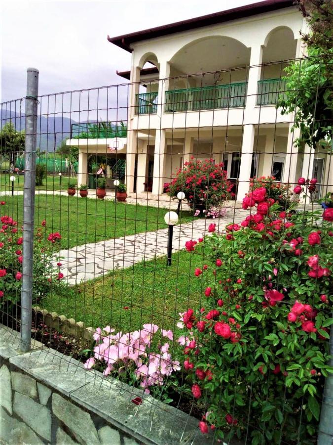 Villa Jenny Λεπτοκαρυά Εξωτερικό φωτογραφία