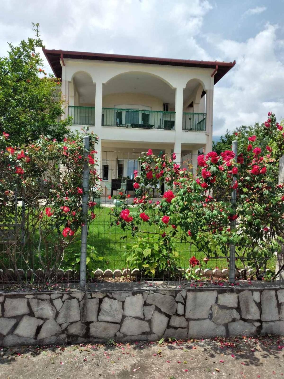 Villa Jenny Λεπτοκαρυά Εξωτερικό φωτογραφία