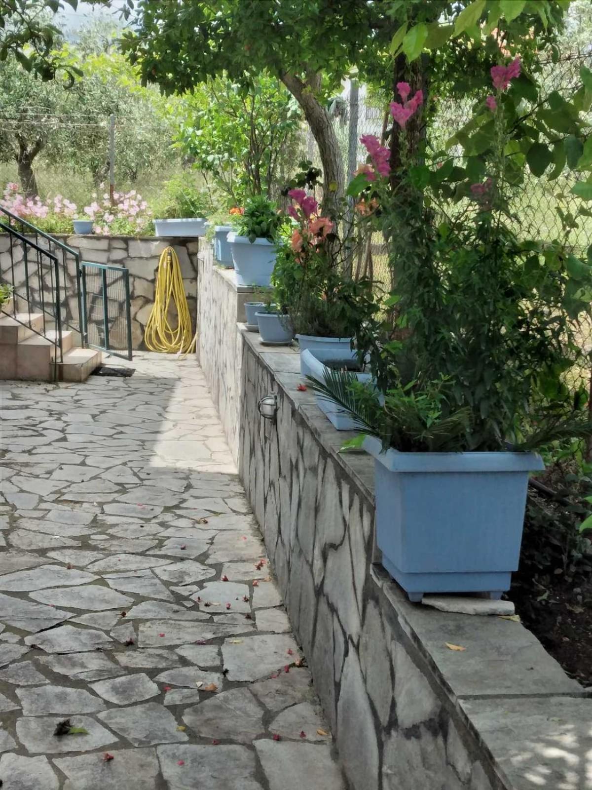 Villa Jenny Λεπτοκαρυά Εξωτερικό φωτογραφία